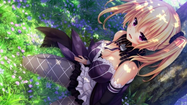 夏アニメ『ノラと皇女と野良猫ハート』OP作編曲は『ラブライブ!』でも有名な森慎太郎さん! Twitterで種﨑敦美さん他キャスト直筆サイン入り台本ゲットのチャンス!? コラボカフェの詳細も発表!!