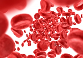 画像はイメージです。 画像はイメージです。