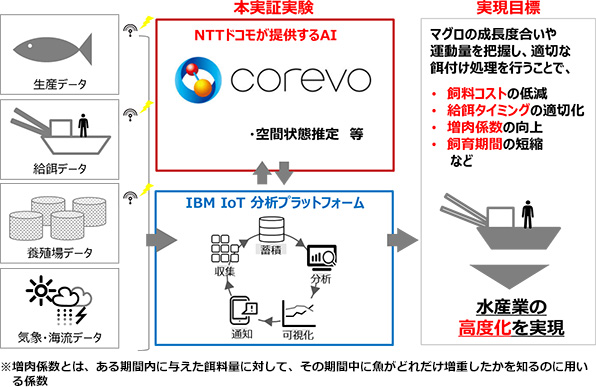 マグロ養殖事業の実証実験イメージ マグロ養殖事業の実証実験イメージ