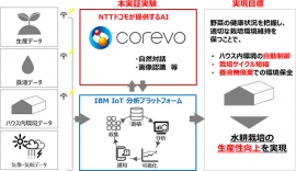 水耕栽培の実証実験イメージ（写真: NTTドコモの発表資料より）
