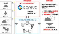 水耕栽培の実証実験イメージ（写真: NTTドコモの発表資料より）