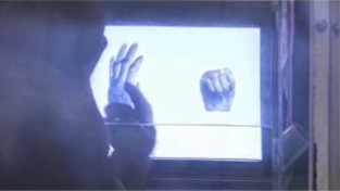 グーとパーのうち、パーを選ぶチンパンジー。（画像：京都大学発表資料より）