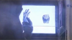 グーとパーのうち、パーを選ぶチンパンジー。（画像：京都大学発表資料より）