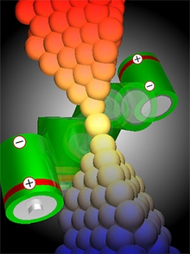 金原子接点を用いた両極性の熱起電力発生の概念図。(画像:東京工業大学発表資料より) 金原子接点を用いた両極性の熱起電力発生の概念図。(画像:東京工業大学発表資料より)