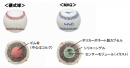 「MAQ（マキュー）」と通常の硬式球の内部構造比較。（画像：ミズノ発表資料より）