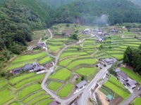 鳥獣被害は人に危害を加えたり、列車に衝突したりとニュースで取り上げられることも珍しくなくなってきた。そんななか、ドローン型ロボットやGPSなどの技術を駆使した鳥獣害対策が注目を集め、今後の実用化に向け企業各社、各自治体の協力の下、研究が進んでいる。