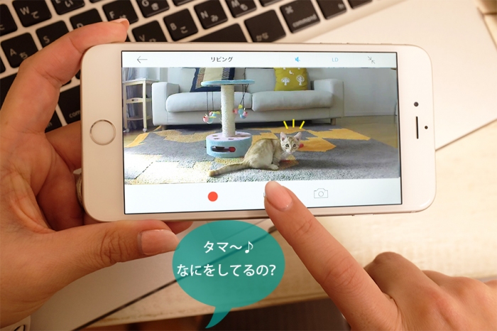 ペットの様子を確認（写真：リンクジャパン発表資料より）