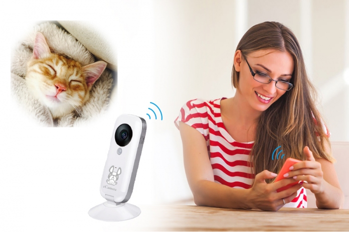 （写真：リンクジャパン発表資料より）