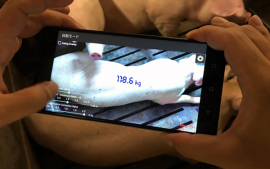 「デジタル目勘」利用イメージ。(画像:NTTテクノクロス発表資料より) 「デジタル目勘」利用イメージ。(画像:NTTテクノクロス発表資料より)