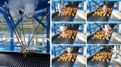 ロボットハンド部（左）と、腐敗果実排出の様子。（画像：慶應義塾大学発表資料より）