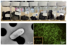 写真上：「ちきゅう」船上にてガラス瓶に嫌気（無酸素）条件下で封入された泥岩層や石炭層のサンプル。写真左下：走査型電子顕微鏡写真。写真右下：細胞に含まれるDNAを緑色の蛍光色素で染色した微生物の蛍光顕微鏡写真。（画像：海洋研究開発機構発表資料より）