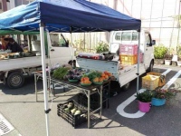 全国各地で開催される軽トラ市。「軽トラ」という小回りのきくトラックをそのまま市場に活用することで設置や撤収を容易にしている。また、対面販売ということから地域の活性化にも大きな期待が寄せられている。