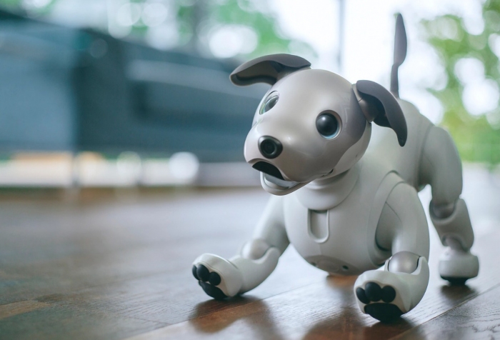 ソニーの「aibo」（写真: ソニーの発表資料より）