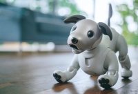 ソニーの「aibo」（写真: ソニーの発表資料より）