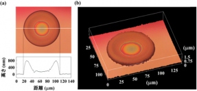 タンパク質マイクロマシンの形状。（a） マイクロマシンの断面像 、（b） マイクロマシンの3次元再構築像。（画像：産業技術総合研究所発表資料より）