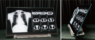 21.6型有機EL（写真：JOLEDの発表資料より）