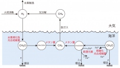 太古代において想定される物質循環。（画像：東京大学発表資料より）