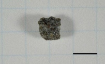 分析した隕石。図中の黒線は5mm。国立科学博物館所蔵。（画像：国立極地研究所発表資料より）