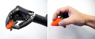 イチゴをつかむロボットハンド「F-hand」と人間の手の比較（写真、NEDOの発表資料より）