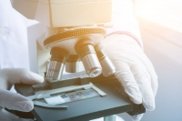 画像はイメージです。