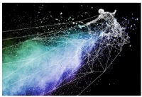 （画像：東北大学発表資料より）
