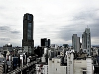 与信サービス業のリンクモンスターが「企業の取引リスクに対する意識調査」の結果を発表。2018年度の倒産件数は「増大する」が36.6%で「減少する」12.9%を上回った。地域別では東北43.8%、北海道42.9%で高い。