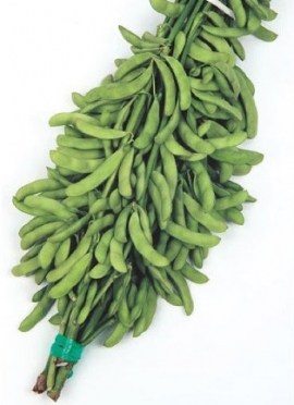 枝豆「とびきり」。(画像:サカタのタネ発表資料より) 枝豆「とびきり」。(画像:サカタのタネ発表資料より)