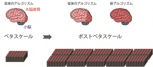 従来と新アルゴリズムによるシミュレーション可能な脳の規模とスパコンの規模(画像: 理化学研究所の発表資料より)