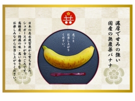 ともいきバナナ。（画像:ともいきBIO発表資料より）