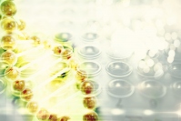 画像はイメージです。