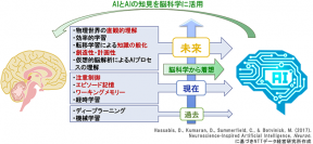 脳科学とAIの共進化の展望図。（画像: NTTデータ経営研究所）