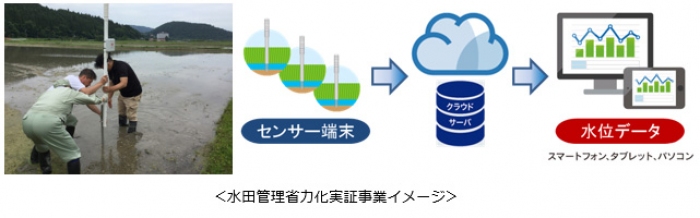 水田管理省力化の実証実験イメージ。（画像: KDDI）