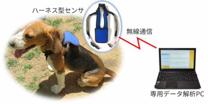 計測のイメージ。(画像: シャープ)