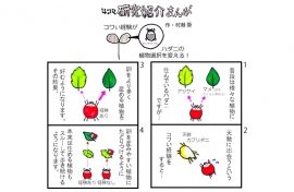 研究の概説。（画像:京都大学発表資料より）