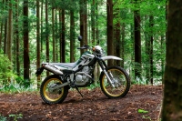 復活したマウンテントレール 「SEROW250」。(画像: ヤマハ発動機)