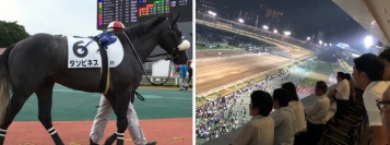 東京都競馬＜９６７２＞（東１）の業績が快調だ。２０１８年１２月期・第２四半期決算（１８年１～６月累計・連結）は、会員制のインターネット在宅投票システム「ＳＰＡＴ４（スパットフォー）」を経由した馬券販売が好調で・・・。