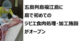 駆除された動物を食肉処理する五島ジビエの社員（写真：五島市の発表資料より）