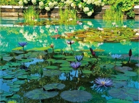 大塚国際美術館(画像: 阪急交通社)