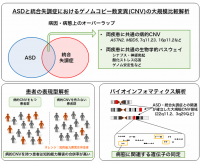 研究の概念図。（画像:日本医療研究開発機構の発表資料より）