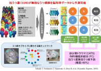 研究の概要。（画像:奈良先端科学技術大学院大学発表資料より）
