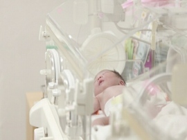 理研のチームがAIを用いた胎児の心臓異常自動検知システムを開発した 理研のチームがAIを用いた胎児の心臓異常自動検知システムを開発した