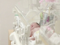 理研のチームがAIを用いた胎児の心臓異常自動検知システムを開発した