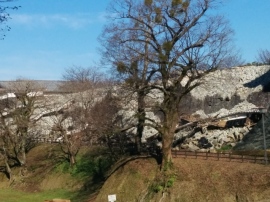 地震や台風、豪雨などの自然災害によって他の人の家屋や所有物に思わぬ損害を与えてしまったというケースが増えてきている