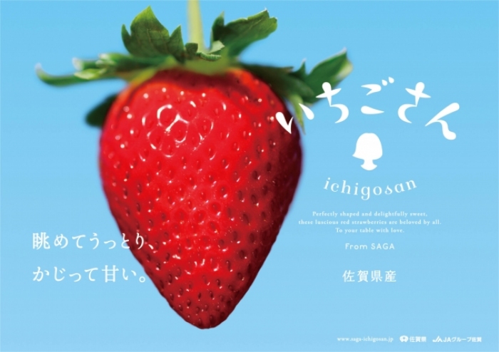 佐賀県が県内では20年ぶりに開発したイチゴの新品種「いちごさん」（画像：佐賀県の発表資料より）