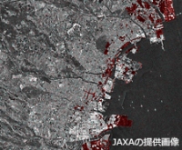 訓練用に作成された、だいち2号が捉えた津波浸水の画像。(c) JAXA