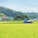 (画像: 本田技研工業の発表資料より) (画像: 本田技研工業の発表資料より)