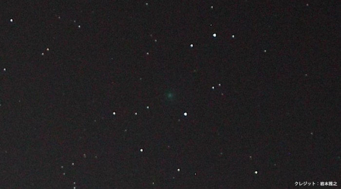 発見者のひとりの岩本雅之氏が撮影した彗星「C/2018 V1」。 （c）岩本雅之