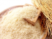 近年「コメ離れ」が著しい。農家や自治体、国が知恵を絞って、日本の主食であるコメの復権を果たすことを期待したい