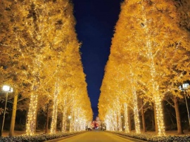11月22日から始まった、ロームイルミネーション2018。同社が主催する、今年で20回目を迎える京都市最大級のイルミネーションイベント。86万球の輝きが、古都の夜を煌びやかに彩る。