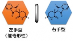 サリドマイドには生理作用の異なる左手型および右手型の鏡像異性体が存在する。（画像:名古屋工業大学発表資料より）
